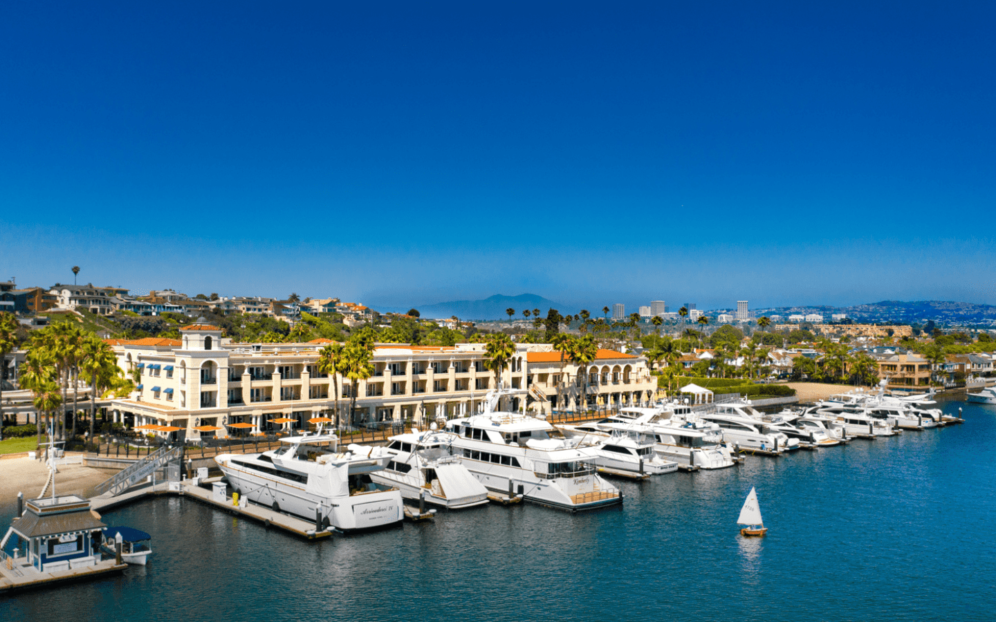 Docked boats